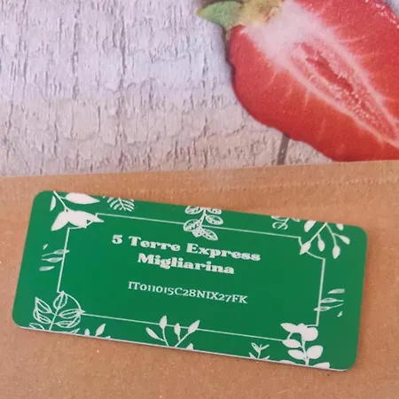 5 Terre Express Migliarina アパート *